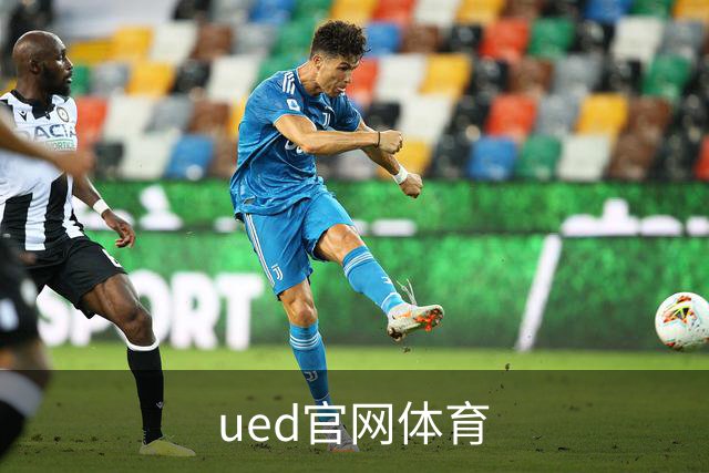 ued官网体育公司简介图片